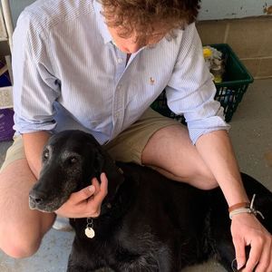 Meet your Posher, Ross